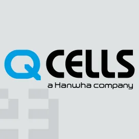 Q Cells
